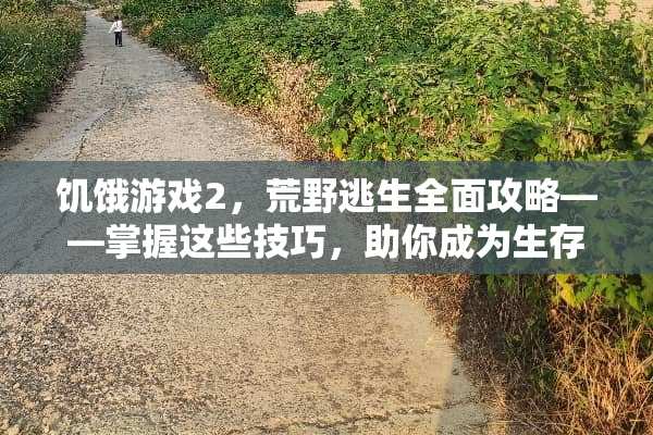 饥饿游戏2，荒野逃生全面攻略——掌握这些技巧，助你成为生存冠军 饥饿游戏2荒野逃生攻略
