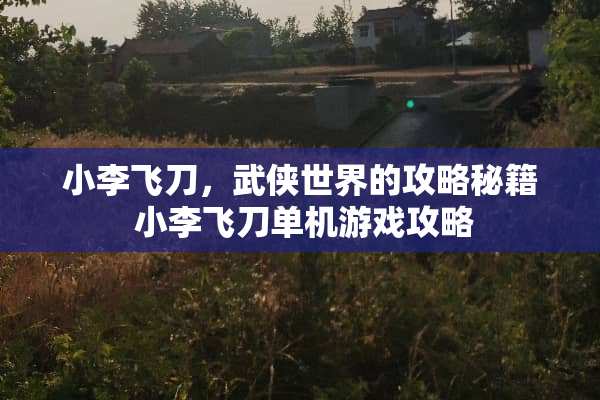 小李飞刀，武侠世界的攻略秘籍 小李飞刀单机游戏攻略