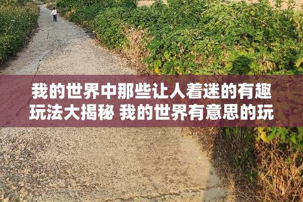 我的世界中那些让人着迷的有趣玩法大揭秘 我的世界有意思的玩法