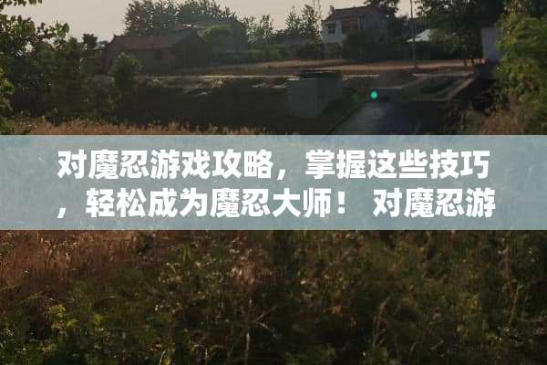 对魔忍游戏攻略，掌握这些技巧，轻松成为魔忍大师！ 对魔忍游戏攻略