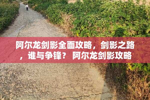 阿尔龙剑影全面攻略，剑影之路，谁与争锋？ 阿尔龙剑影攻略
