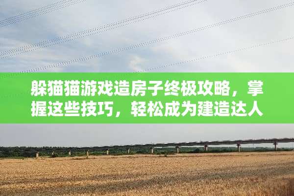 ***游戏造房子终极攻略，掌握这些技巧，轻松成为建造达人！ ***游戏造房子攻略