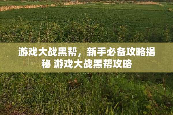 游戏大战黑帮，新手必备攻略揭秘 游戏大战黑帮攻略