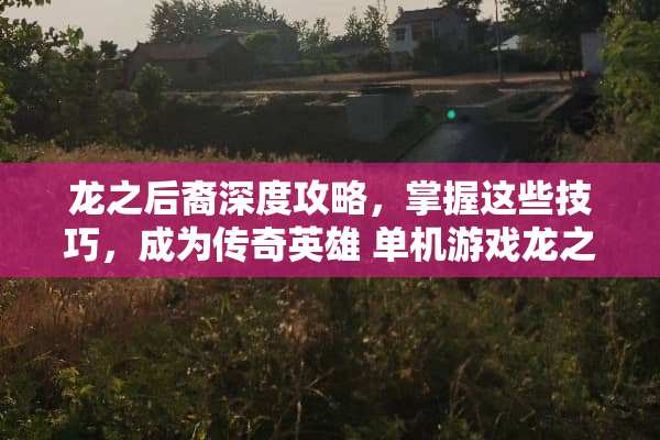 龙之后裔深度攻略，掌握这些技巧，成为传奇英雄 单机游戏龙之后裔攻略