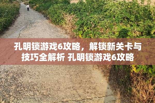 孔明锁游戏6攻略，解锁新关卡与技巧全解析 孔明锁游戏6攻略