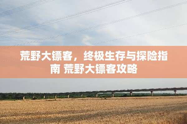 荒野大镖客，终极生存与探险指南 荒野大镖客攻略