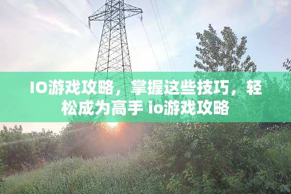 IO游戏攻略，掌握这些技巧，轻松成为高手 io游戏攻略