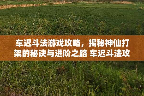 车迟斗法游戏攻略，揭秘神仙打架的秘诀与进阶之路 车迟斗法攻略