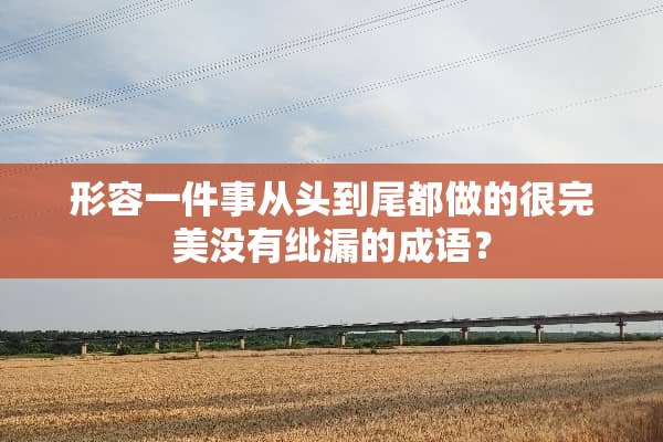 形容一件事从头到尾都做的很完美没有纰漏的成语？