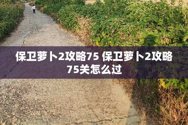 保卫萝卜2攻略75 保卫萝卜2攻略75关怎么过
