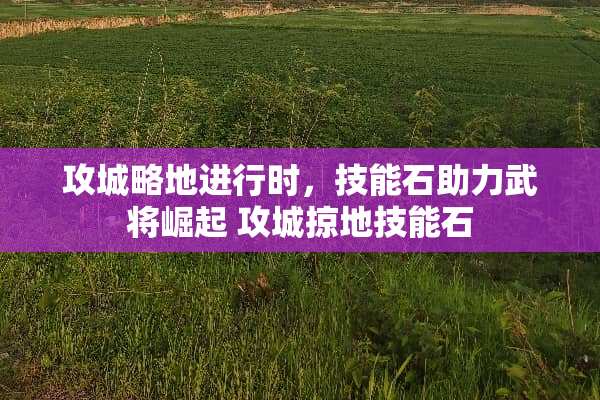 攻城略地进行时，技能石助力武将崛起 攻城掠地技能石