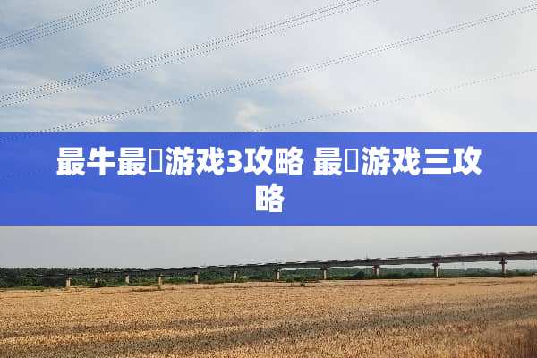 最牛最囧游戏3攻略 最囧游戏三攻略