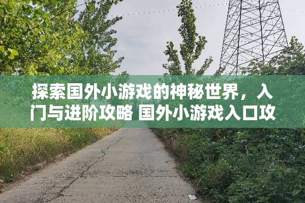 探索国外小游戏的神秘世界，入门与进阶攻略 国外小游戏入口攻略