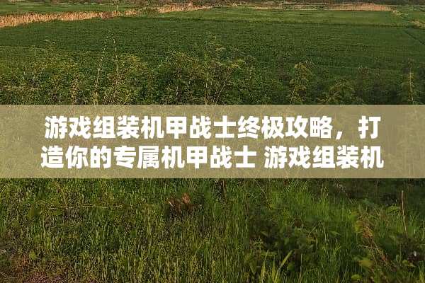 游戏组装机甲战士终极攻略，打造你的专属机甲战士 游戏组装机甲战士攻略