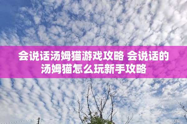 会说话汤姆猫游戏攻略 会说话的汤姆猫怎么玩新手攻略