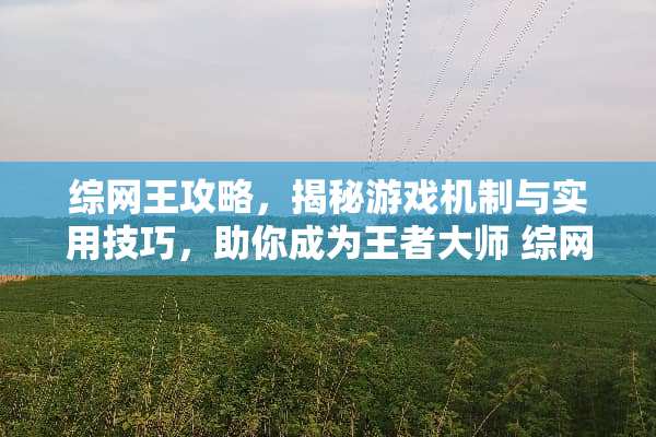 综网王攻略，揭秘游戏机制与实用技巧，助你成为王者大师 综网王攻略游戏