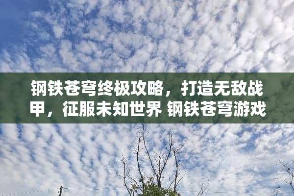 钢铁苍穹终极攻略，打造无敌战甲，征服未知世界 钢铁苍穹游戏攻略