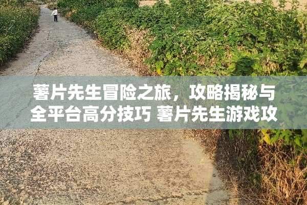 薯片先生冒险之旅，攻略揭秘与全平台高分技巧 薯片先生游戏攻略
