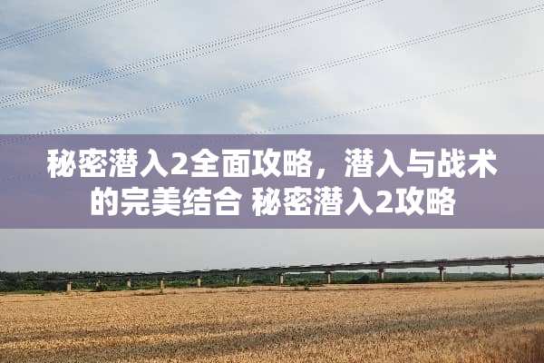 秘密潜入2全面攻略，潜入与战术的完美结合 秘密潜入2攻略
