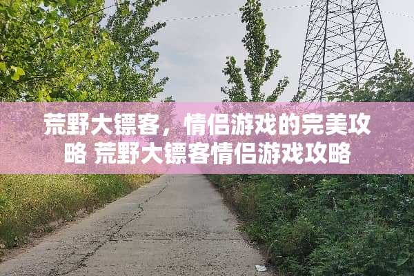 荒野大镖客，情侣游戏的完美攻略 荒野大镖客情侣游戏攻略