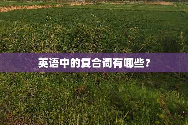 英语中的复合词有哪些？