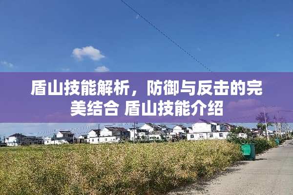 盾山技能解析，防御与反击的完美结合 盾山技能介绍