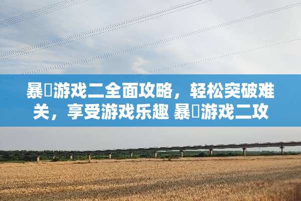 暴囧游戏二全面攻略，轻松突破难关，享受游戏乐趣 暴囧游戏二攻略