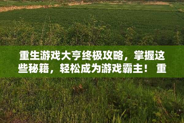 重生游戏大亨终极攻略，掌握这些秘籍，轻松成为游戏霸主！ 重生游戏大亨攻略