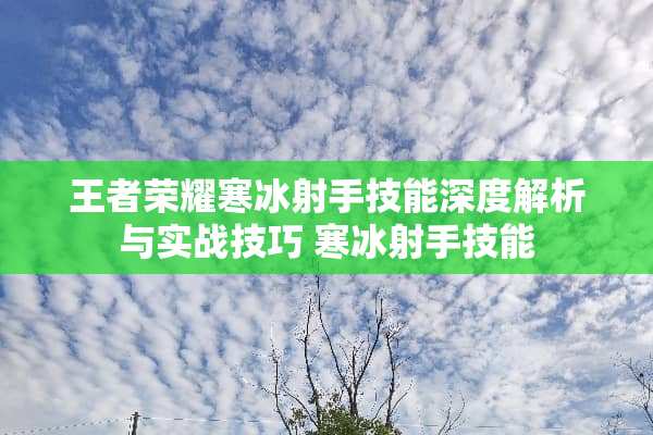 王者荣耀寒冰射手技能深度解析与实战技巧 寒冰射手技能