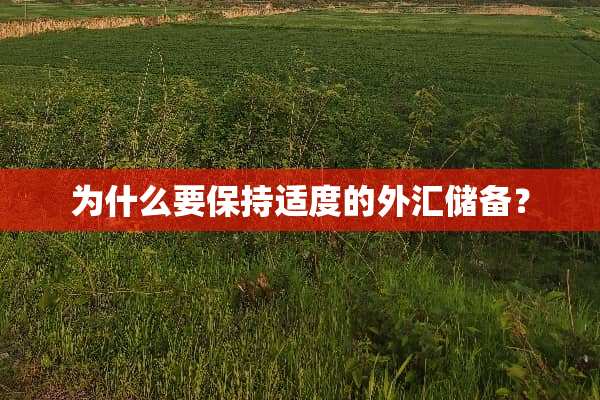 为什么要保持适度的外汇储备？