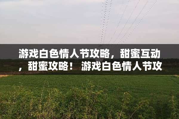 游戏白**人节攻略，甜蜜互动，甜蜜攻略！ 游戏白**人节攻略