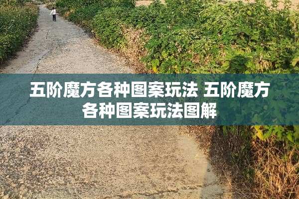五阶魔方各种图案玩法 五阶魔方各种图案玩法图解