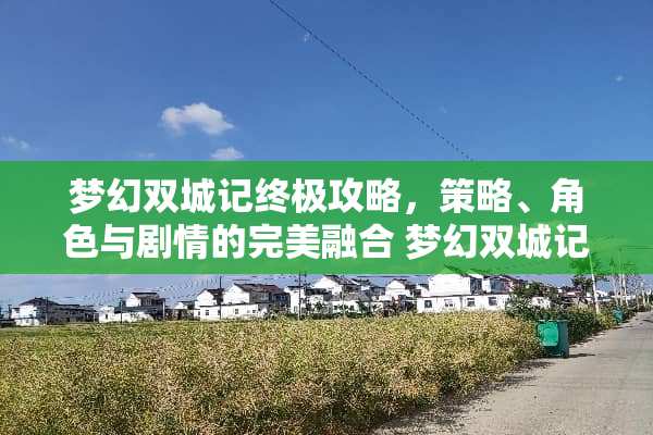 梦幻双城记终极攻略，策略、角色与剧情的完美融合 梦幻双城记攻略