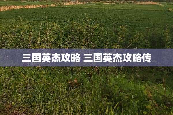 三国英杰攻略 三国英杰攻略传