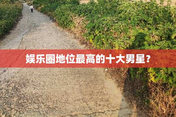 娱乐圈地位最高的十大男星？