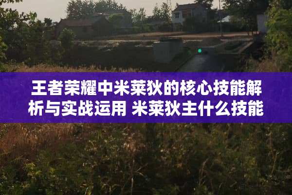 王者荣耀中米莱狄的核心技能解析与实战运用 米莱狄主什么技能