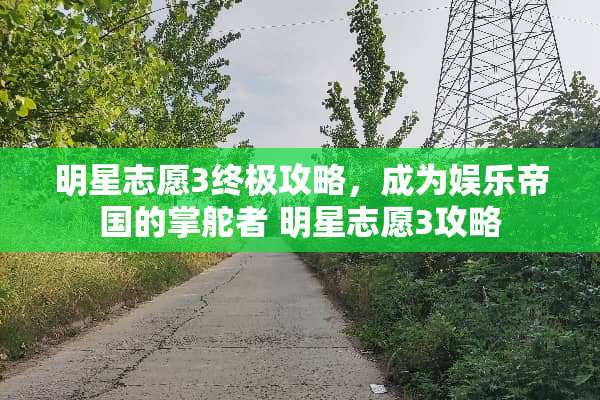 明星志愿3终极攻略，成为娱乐帝国的掌舵者 明星志愿3攻略