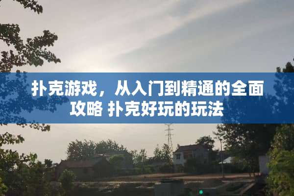 **游戏，从入门到精通的全面攻略 **好玩的玩法