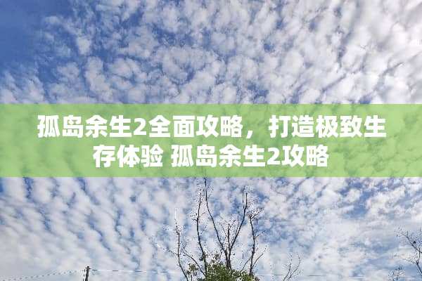 孤岛余生2全面攻略，打造极致生存体验 孤岛余生2攻略