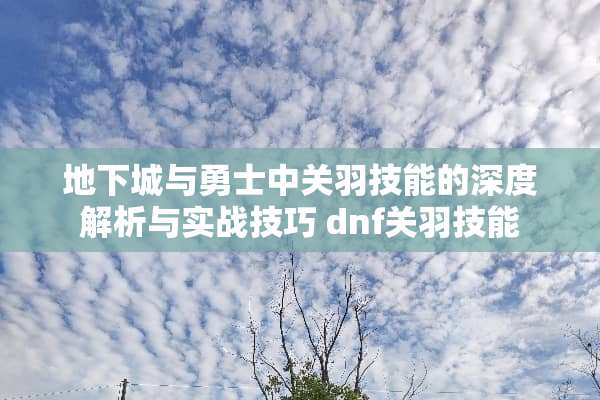 **城与勇士中关羽技能的深度解析与实战技巧 dnf关羽技能