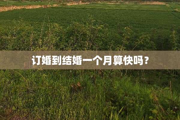 订婚到结婚一个月算快吗？