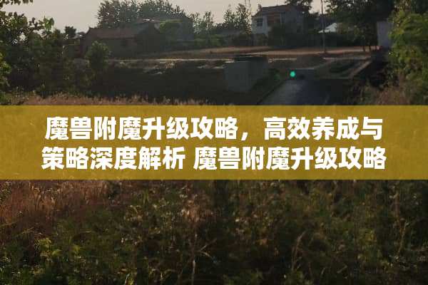 魔兽附魔升级攻略，高效养成与策略深度解析 魔兽附魔升级攻略