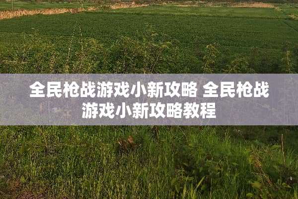 全民*战游戏小新攻略 全民*战游戏小新攻略教程
