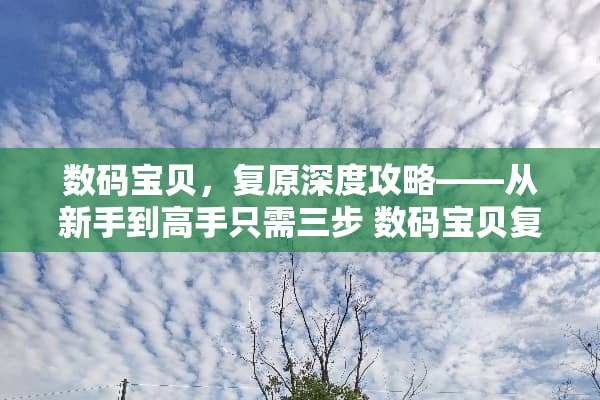 数码宝贝，复原深度攻略——从新手到高手只需三步 数码宝贝复原攻略