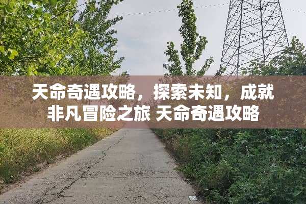 天命奇遇攻略，探索未知，成就非凡冒险之旅 天命奇遇攻略
