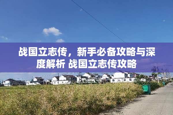 战国立志传，新手必备攻略与深度解析 战国立志传攻略