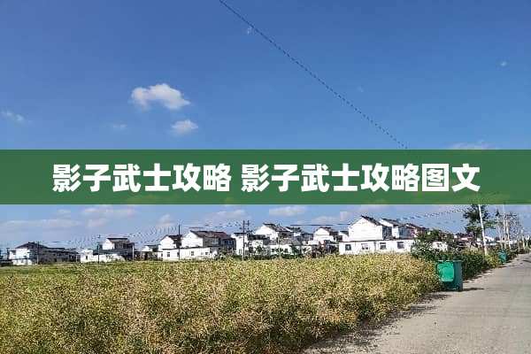 影子武士攻略 影子武士攻略图文