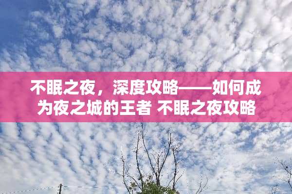 不眠之夜，深度攻略——如何成为夜之城的王者 不眠之夜攻略
