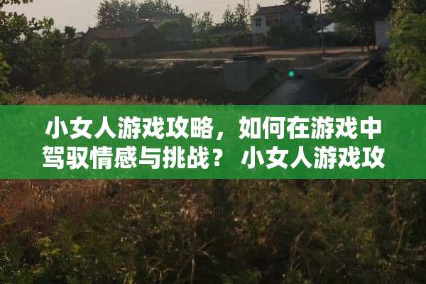 小女人游戏攻略，如何在游戏中驾驭情感与挑战？ 小女人游戏攻略