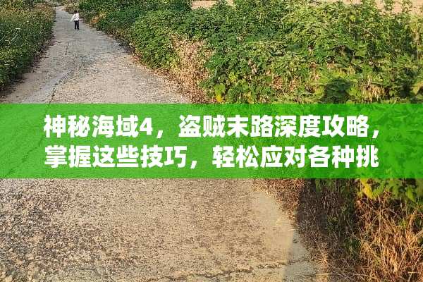 神秘海域4，盗贼末路深度攻略，掌握这些技巧，轻松应对各种挑战 优质攻略系统游戏沉